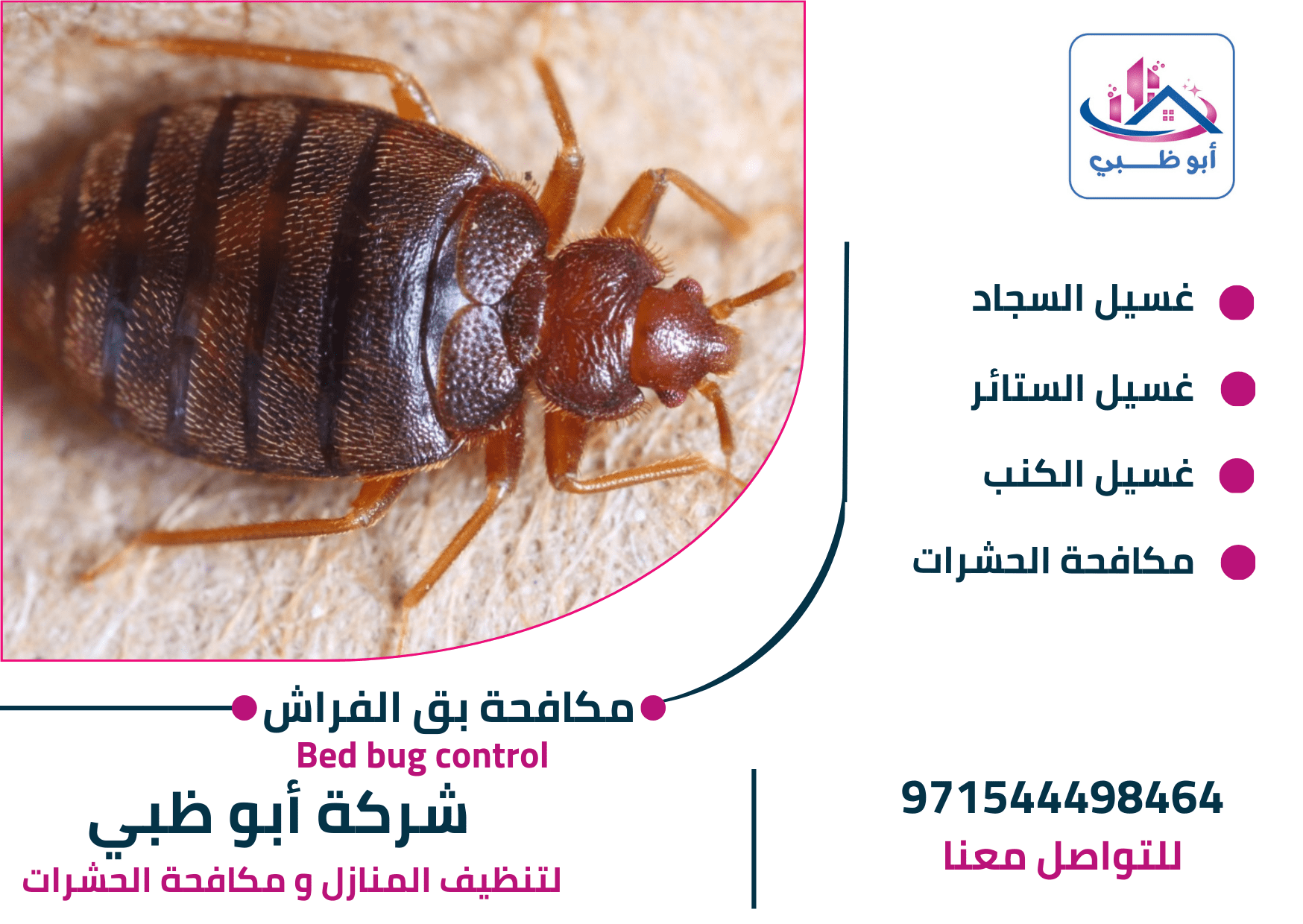 أفضل شركة مكافحة بق الفراش في أبوظبي